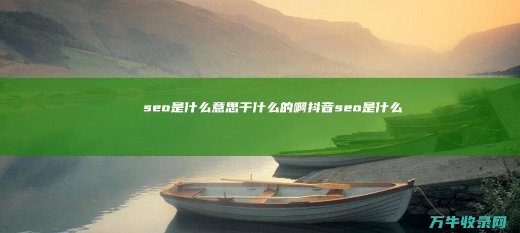 seo是什么意思 干什么的啊 (抖音seo是什么)