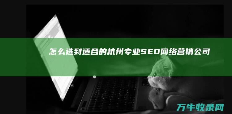 怎么选到适合的 杭州专业SEO网络营销公司 (怎么选到适合自己的眼镜)